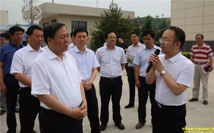 省委常委、省委統(tǒng)戰(zhàn)部部長、副省長姜鋒蒞臨森弗產(chǎn)業(yè)園調(diào)研大健康產(chǎn)業(yè)發(fā)展情況